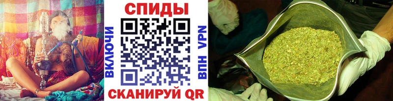 omg маркетплейс  Камызяк  Бутират Butirat  маркетплейс как зайти  купить наркотики сайты 